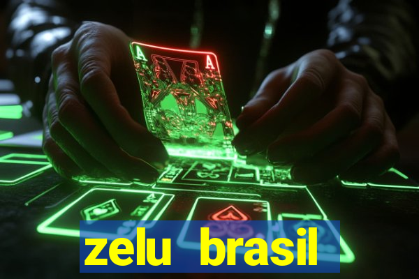 zelu brasil facilitadora de pagamentos ltda jogos