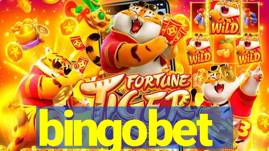 bingobet