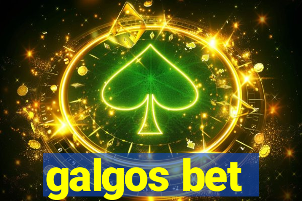 galgos bet