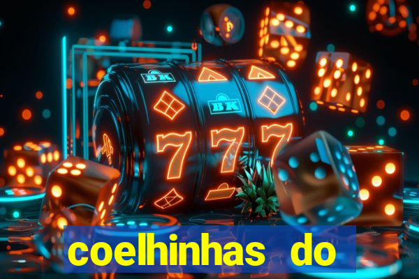 coelhinhas do brasil recife