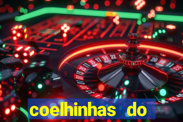 coelhinhas do brasil recife