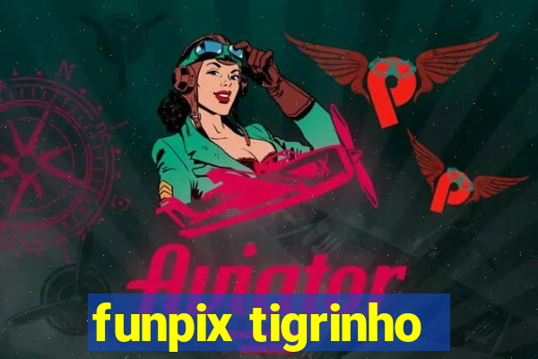 funpix tigrinho