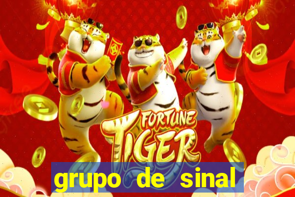 grupo de sinal fortune tiger