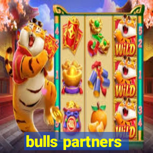 bulls partners