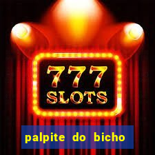 palpite do bicho deu no poste