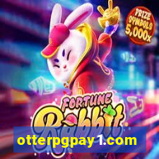 otterpgpay1.com