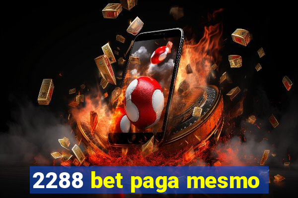 2288 bet paga mesmo