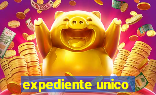 expediente unico