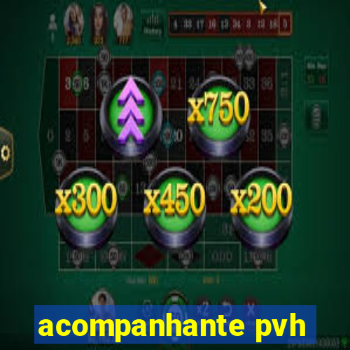 acompanhante pvh