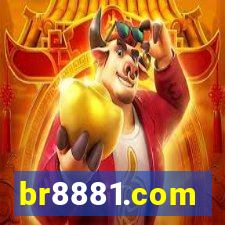 br8881.com