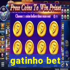 gatinho bet