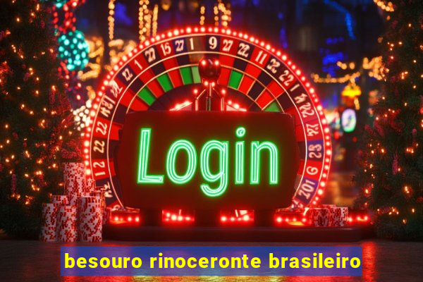 besouro rinoceronte brasileiro