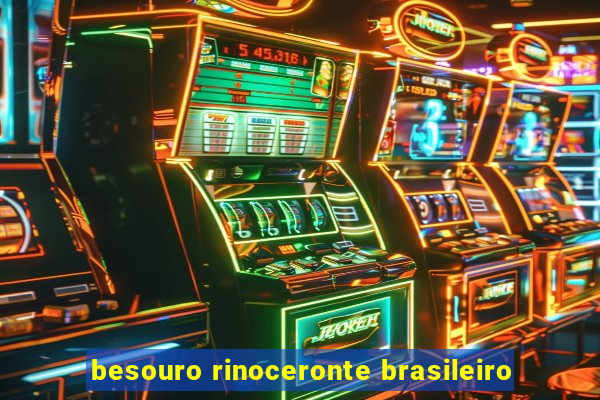 besouro rinoceronte brasileiro