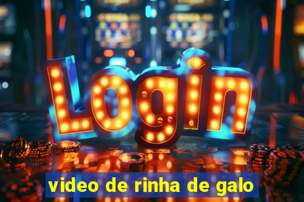 video de rinha de galo