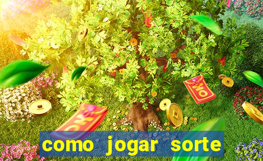 como jogar sorte do dia