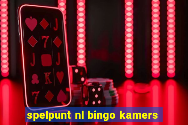 spelpunt nl bingo kamers