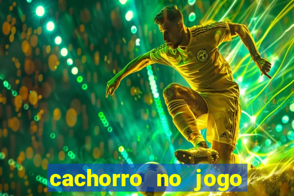 cachorro no jogo do bicho