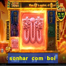 sonhar com boi jogo do bicho