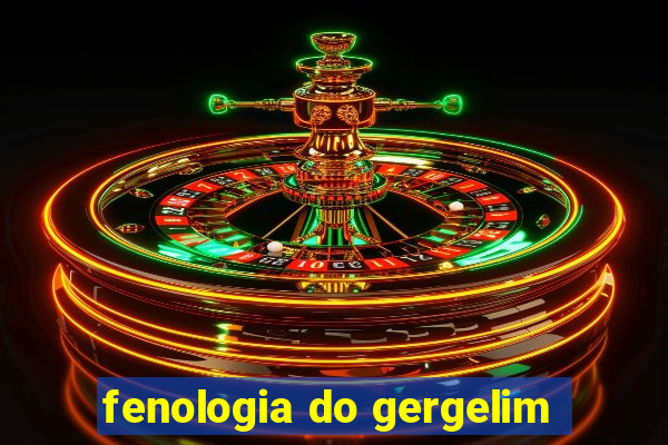 fenologia do gergelim