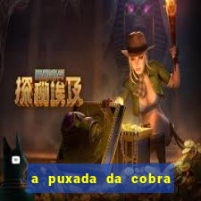 a puxada da cobra no jogo do bicho