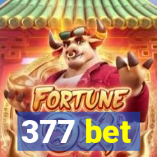 377 bet