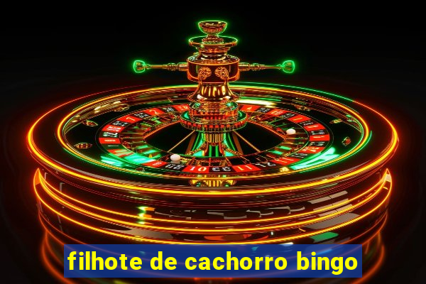 filhote de cachorro bingo