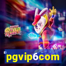 pgvip6com