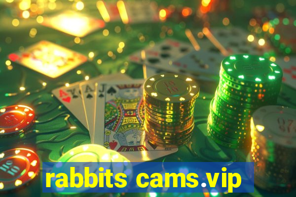 rabbits cams.vip