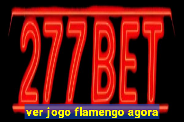 ver jogo flamengo agora