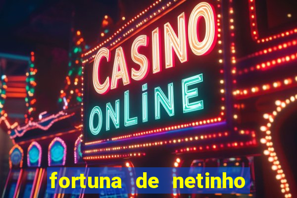 fortuna de netinho de paula