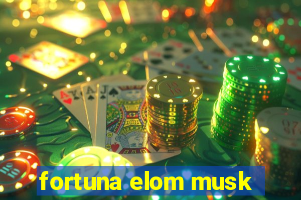 fortuna elom musk