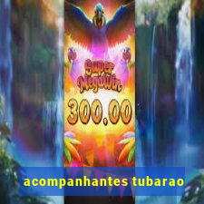 acompanhantes tubarao