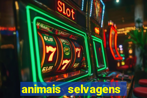 animais selvagens fotos e nomes