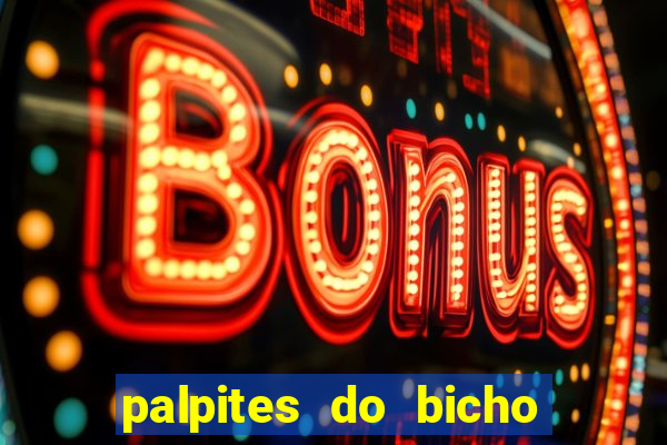 palpites do bicho no celular