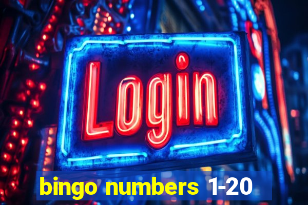 bingo numbers 1-20