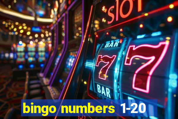 bingo numbers 1-20