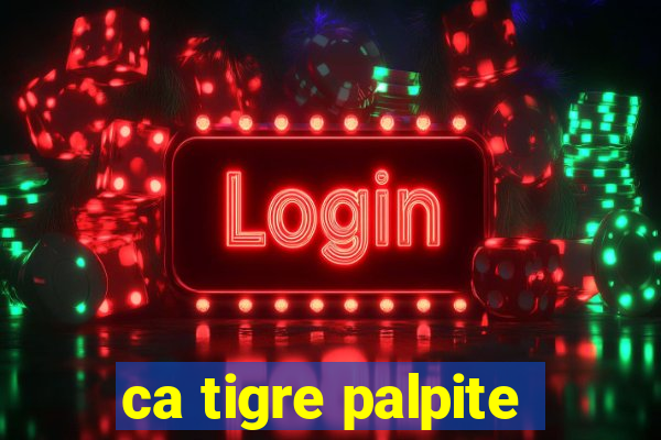 ca tigre palpite