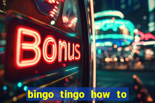 bingo tingo how to use canva