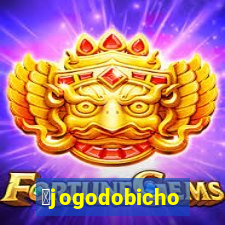 茅jogodobicho