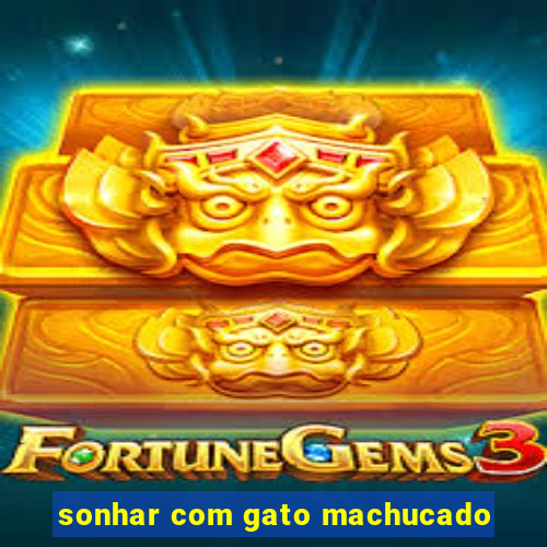 sonhar com gato machucado