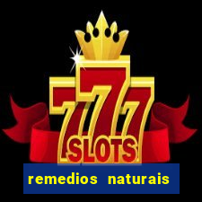 remedios naturais para diabetes