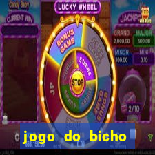 jogo do bicho banca ouro verde