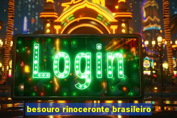 besouro rinoceronte brasileiro