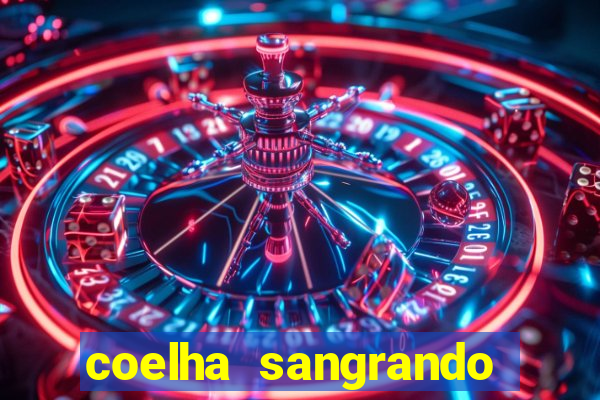 coelha sangrando pela parte intima