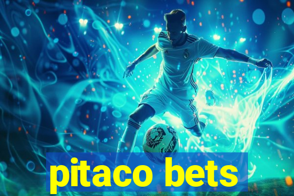 pitaco bets