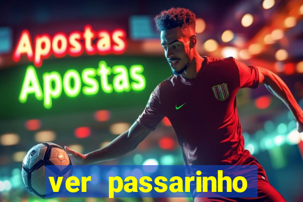 ver passarinho morto significado espiritual