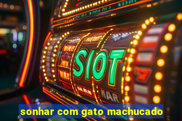 sonhar com gato machucado