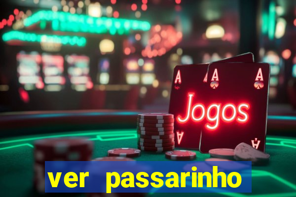 ver passarinho morto significado